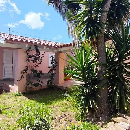 House - Matta E Peru *